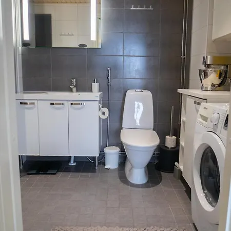 Loimu Arctic Apartment Rovaniemi